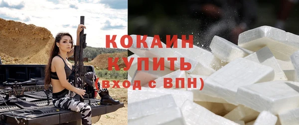 спиды Новодвинск