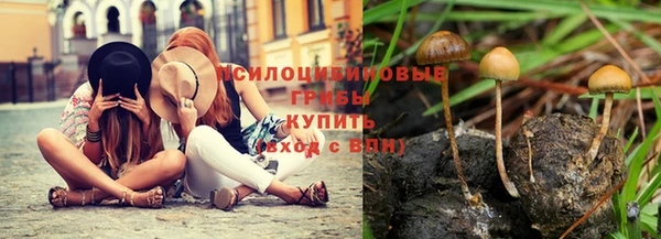 Альфа ПВП Нягань