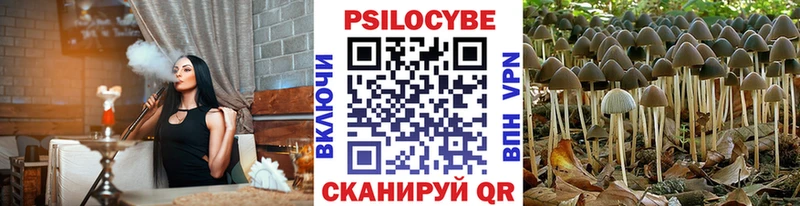 Псилоцибиновые грибы мухоморы  Купить  Жиздра 
